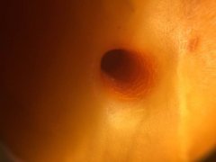 �������ļ��𷽷�