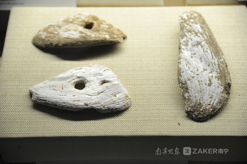 到南宁园博园看顶蛳山遗址 探索古老文化