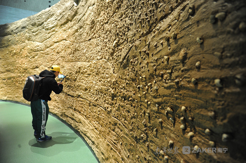 到南宁园博园看顶蛳山遗址 探索古老文化
