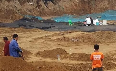 ؽֹĹȺ רоȫڴսʱ