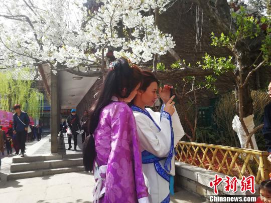 两名身着汉服的女子在樱花树下自拍。 孙婷婷 摄
