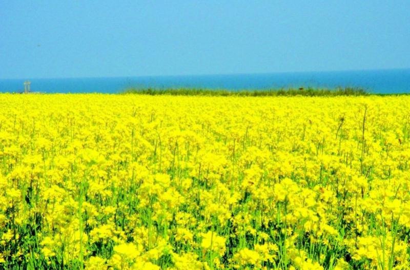 且连续两年被中央电视台《朝闻天下》直播报道