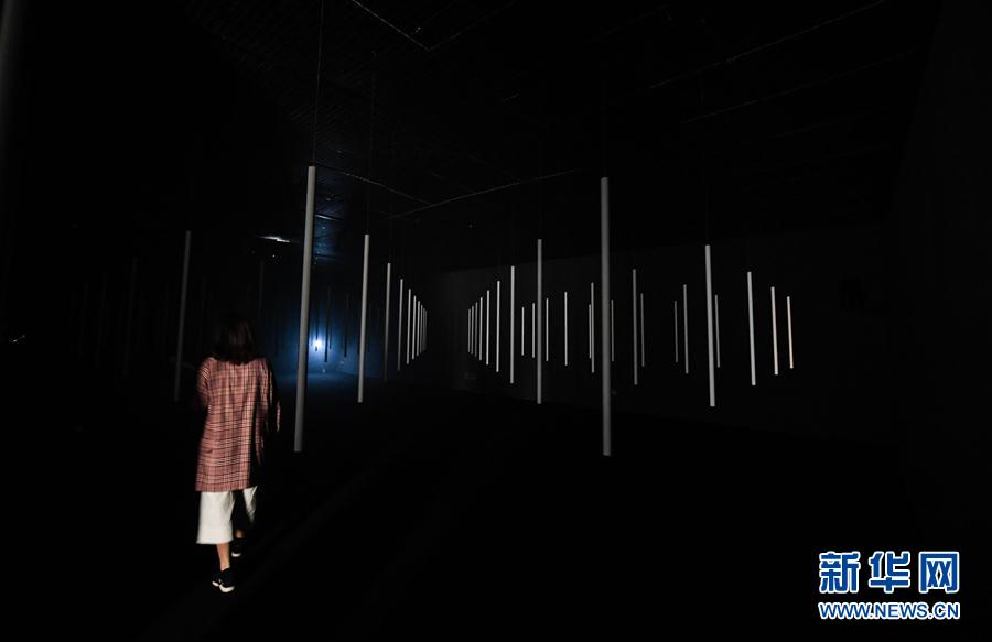 (文化)(2)2019乌镇当代艺术邀请展开幕