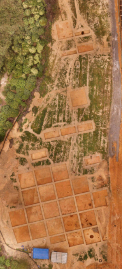 成为广州地区发现的文化堆积最为丰富、遗迹现象最为复杂、出土遗物最多的新石器时代晚期遗址