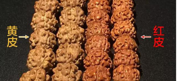 金刚老玩家浅谈金刚菩提怎么玩