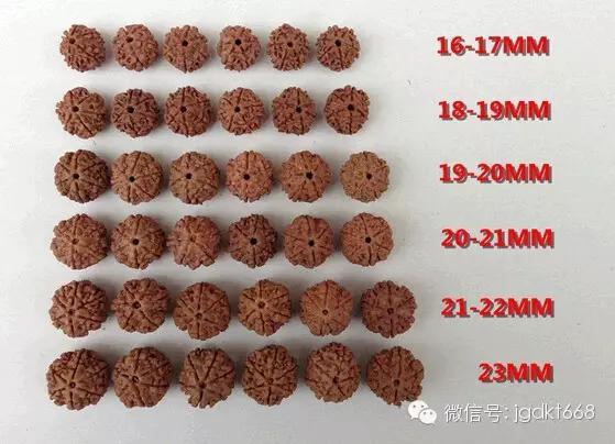 有人甚至喜欢某些部位超大的