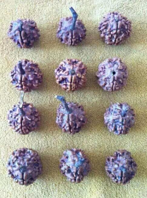 金刚菩提造假,那些不得不说的事儿