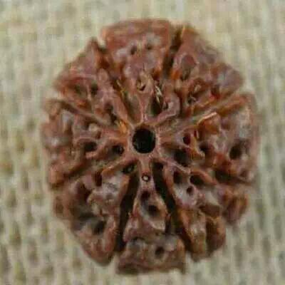 金刚菩提造假,那些不得不说的事儿