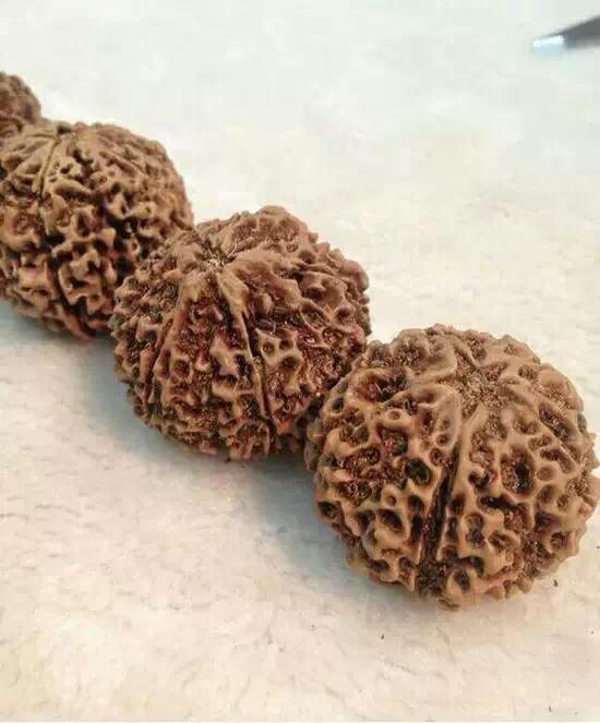 金刚菩提造假,那些不得不说的事儿