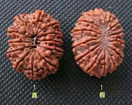 金刚菩提造假,那些不得不说的事儿