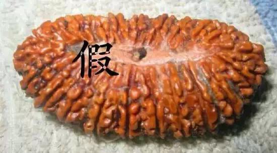 金刚菩提造假,那些不得不说的事儿