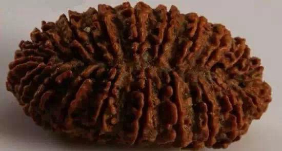 金刚菩提造假,那些不得不说的事儿