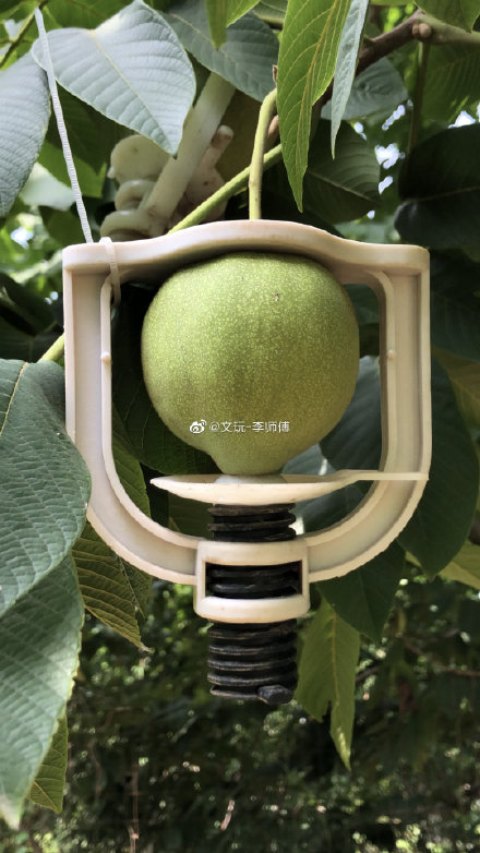 ʲôǼаңʦͼʶ  1