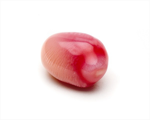 ʲôǺ飿ص 鱦ʯ 1