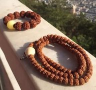 Ϊʲôգε
