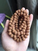 ɱ䣺̿ĹСϮ