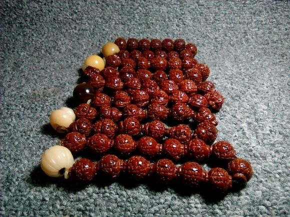 Ӧô ̲͸ź죿