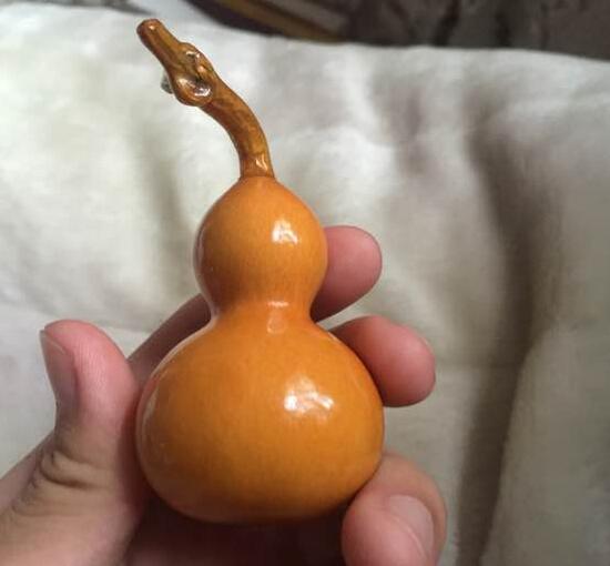 ⣺תˣǶѡʲôأ
