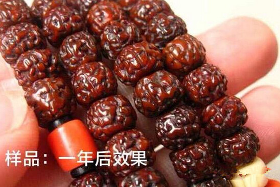 Сʲô· С·ķ