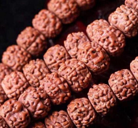 Сʲô· С·ķ