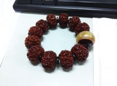 ƶ�������ʵ������ﲻ��ɥ־