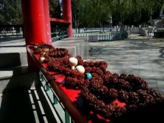 ����ô������������������������