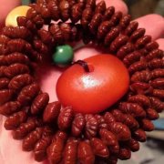 ��͸�ˣ����Դ��ļ����ҵĽ�Ҷ����