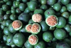 �����Ͱ��ý���ˣ��̵�����Ȧ�����ְҵ