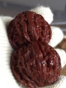 ɹɹ�Լ��������漸�������һЩС����