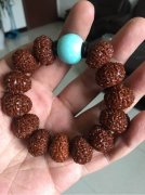 ���������������Ҫ��