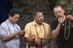 ʲô�����˲��ܱ�������������ֻ�ר�ң�