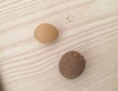 ������ͬ�����������Լ��������Ե�Ĺ���