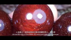 ǳ̸��ߣ�����ִ����������嵽����ʲô��