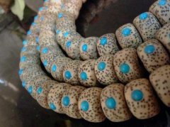 ��ǰ��ʯ���������֣��Ҿ֣���εý⣿