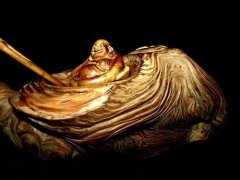 �⼸���������������������Ȧ�����ˮ