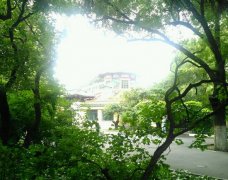 ��������·�ϵ�һЩ�����뾭��������