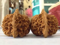 <b>�̵������ĥ�������� �����ź�İ˴��������</b>