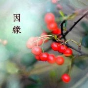 <b>���ѱ��ϣ��ٶ�����ֱ��������ϵ���ƭ����</b>