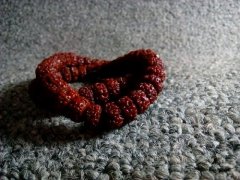 Ʒλ�������� �������˵���