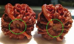 �߷�������� ����ҩ֪ʶ�ܽ�