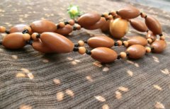 ������ ����· ���������