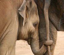 û��������û��ɱ�� �����벻Ҫ����Ѫ��