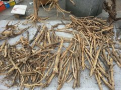 ���漯�м��̶� �����࿴�����