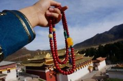 ��������̷���ҩ�ռ�ָ��