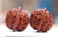 ������ң����ĸ�������������ҵ���ᣩ