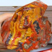 ��������觡�֮������Ʊս�������