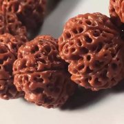  ��������ִ��������ճ�����ע������