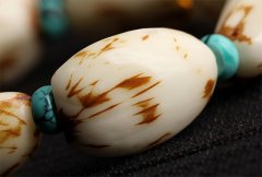 ���� ʲô�ǻ������������᣿