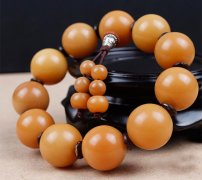  �����������һ�ֽ�����Ҷ�ص�����