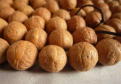 �������� ����������ᱣ������